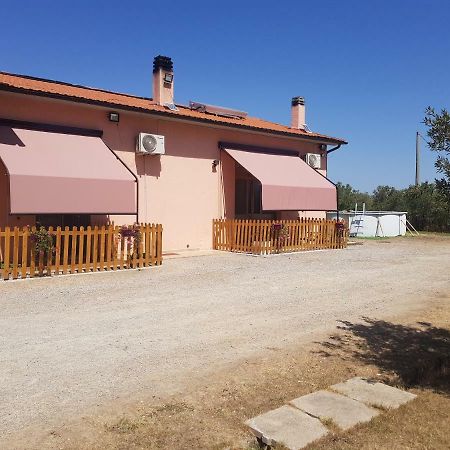 Ilboschetto Magnolia Albinia Exterior foto